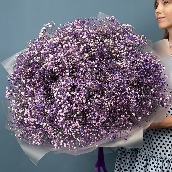 51 фиолетовая гипсофила